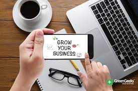 How to Grow Business Online in India